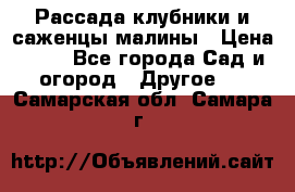 Рассада клубники и саженцы малины › Цена ­ 10 - Все города Сад и огород » Другое   . Самарская обл.,Самара г.